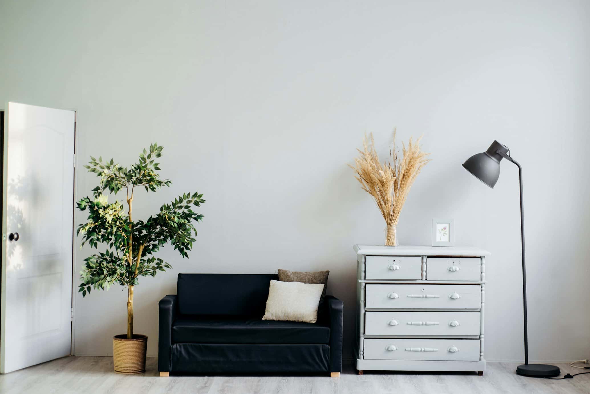 The Longevity Guide: Preserve Your Investment